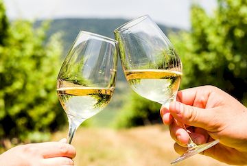 Венгерское вино Lics Wine Cellars