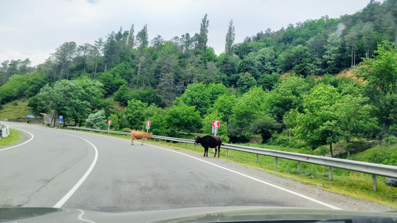 Дороги в Крыму